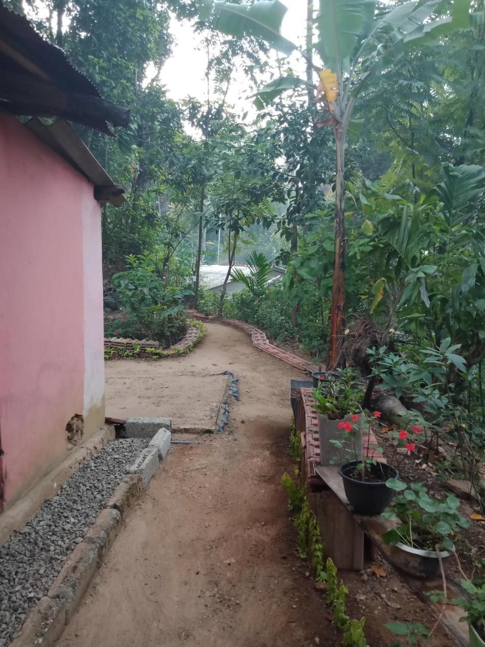 Damsen Homestay Элла Экстерьер фото