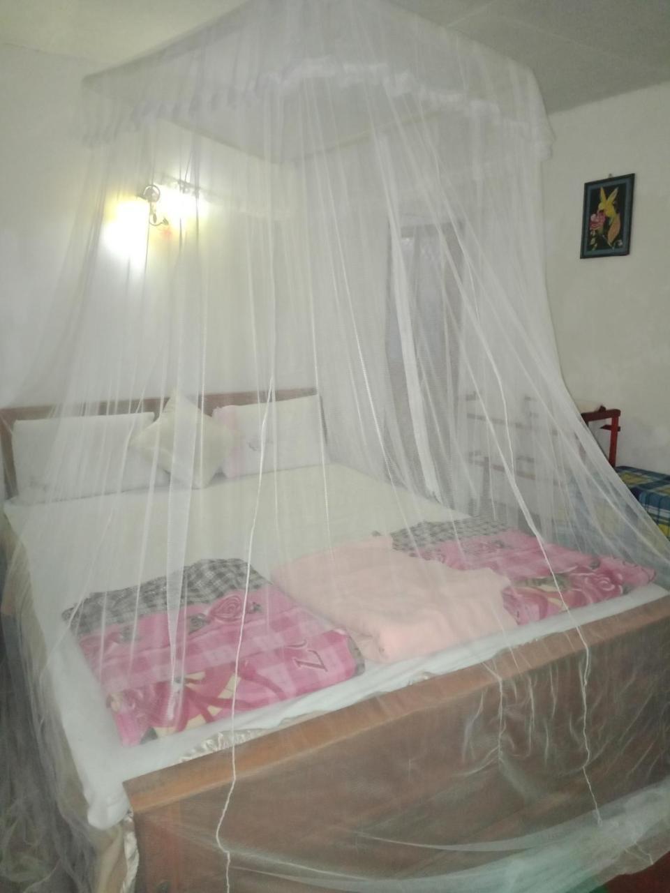 Damsen Homestay Элла Экстерьер фото