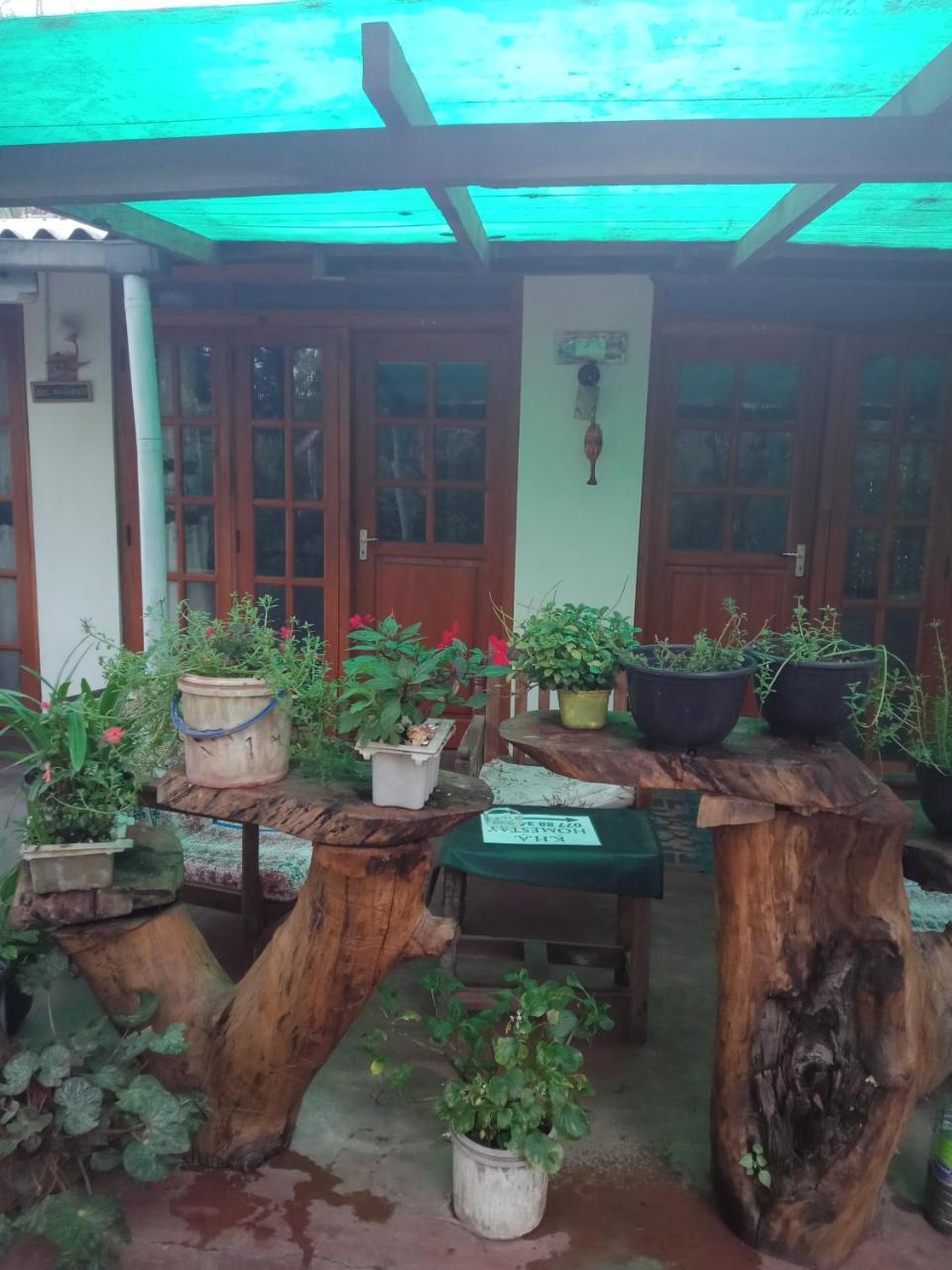 Damsen Homestay Элла Экстерьер фото